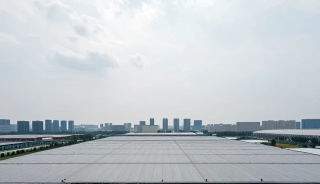 小程序开发选型建议：如何依据业务需求选择合适方案