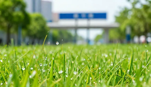 网络工程：SEO优化的执行效率提升策略分析