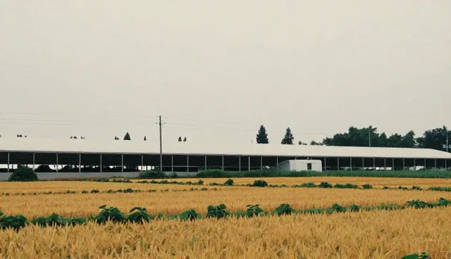 扬中网站优化选型关注点及使用建议