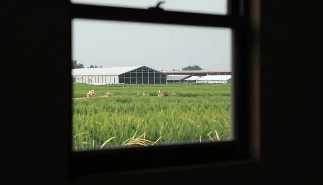 行为干预与健康管理：选型关注点的对比分析