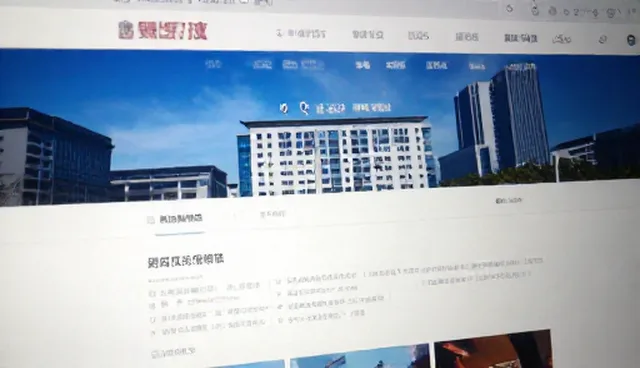网络推广适用条件及选择依据说明