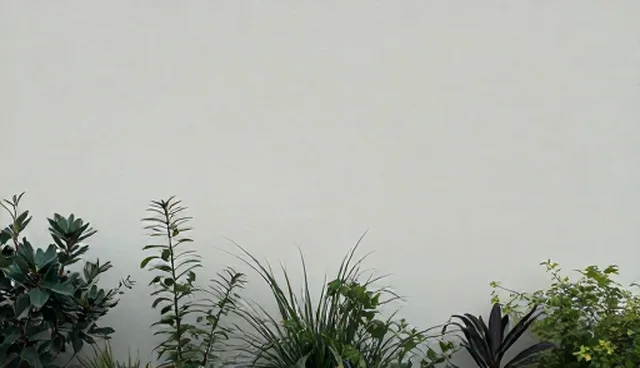 需求分析：应用场景分析中的应用开发与系统集成