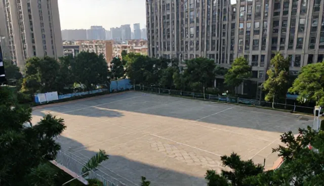 商务考察在研学旅行中的选型与使用建议