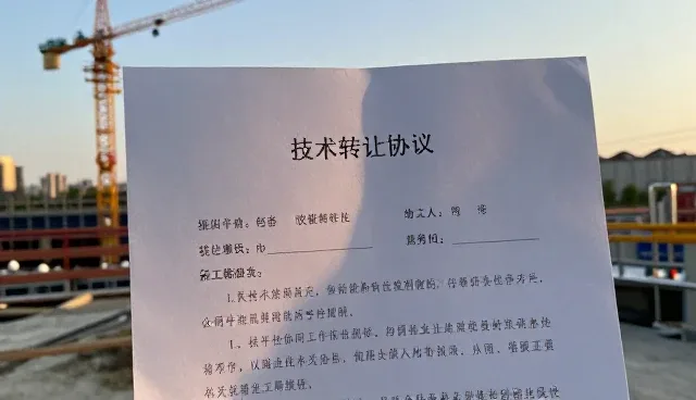 不同规模业务如何选择技术咨询方案