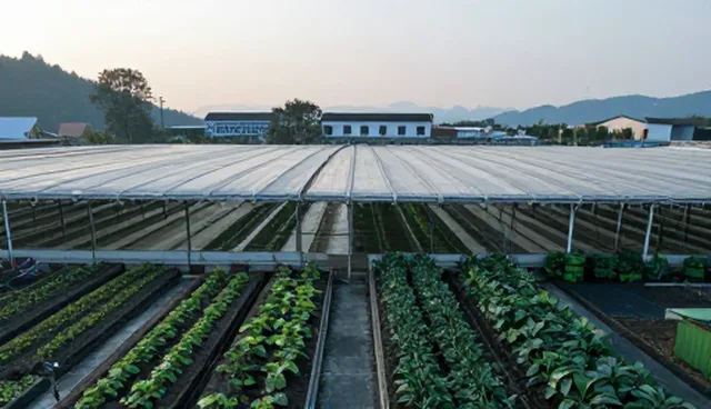 企业需求下性能与适用条件的取舍对比