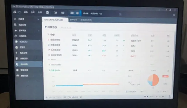 软件性能优化：信息技术研发中的适用条件分析