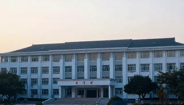 技术选择中的系统实施：自主开发与外包的取舍分析