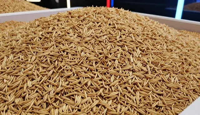 仓储保鲜技术在基地合作中的适用条件与选择依据