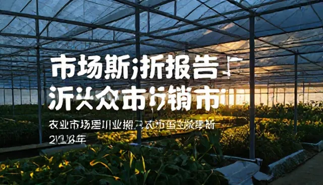 财税咨询如何通过市场调研报告优化业务发展趋势